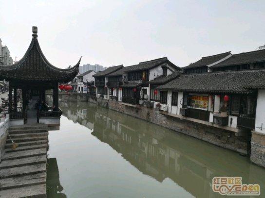 探索单身的原因是什么?话题的单身的原因是什么?红迪网平台